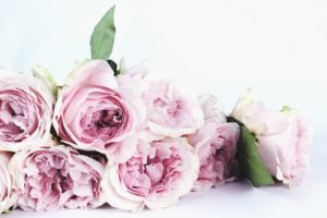 bouquet-de-roses-rose-pale